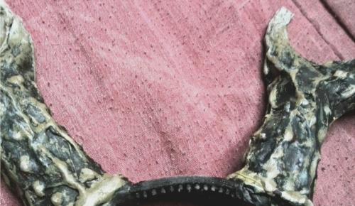 Как сделать правдоподобные оленьи рога 03