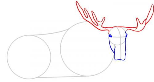 Как нарисовать рога лося. Лось — рисунок для детей карандашом поэтапно