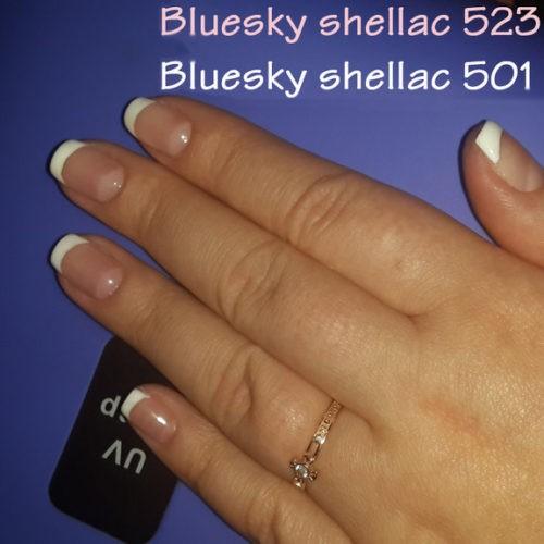 Палитра блюскай с номерами. Шеллак Блюскай: обзор палитры, фото