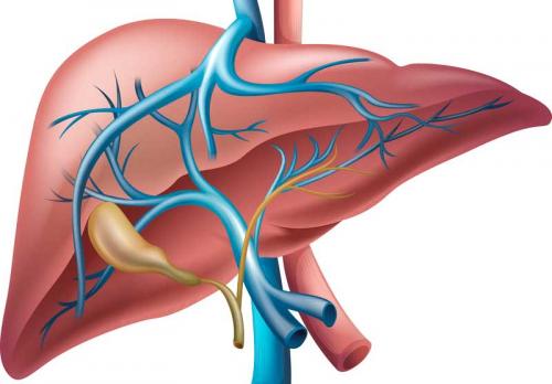 Гемангиома печени