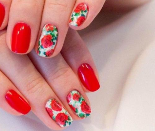 Что нужно для шеллака: советы и инструкции