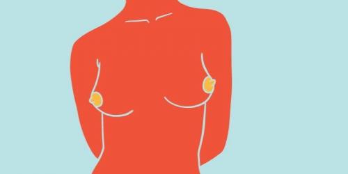 Как часто встречаются уши спаниеля у женщин. Все формы и типы женской груди в одной статье