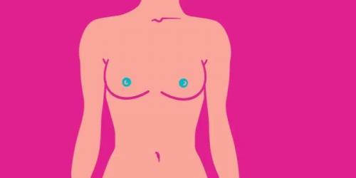 Как часто встречаются уши спаниеля у женщин. Все формы и типы женской груди в одной статье