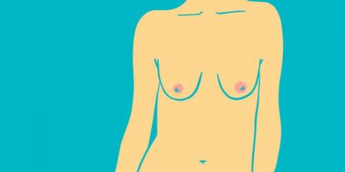 Как часто встречаются уши спаниеля у женщин. Все формы и типы женской груди в одной статье