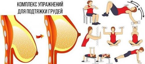 Уши спаниеля женская грудь. Пост о титьках