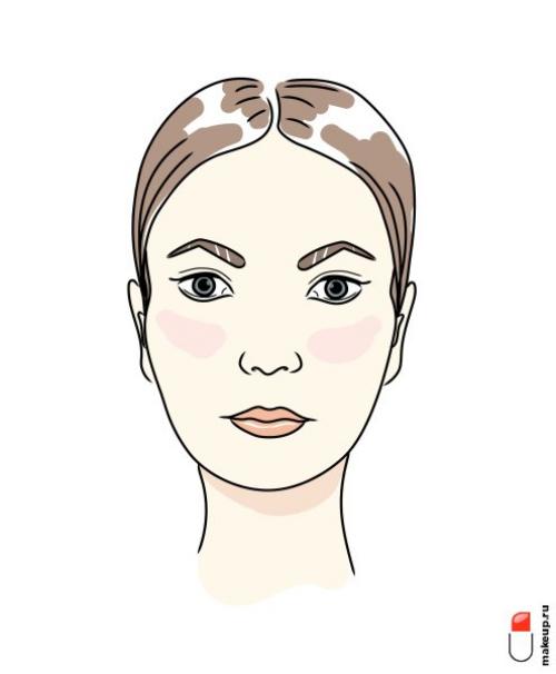 Как определить, что у вас круглое лицо. Классификация лиц по форме