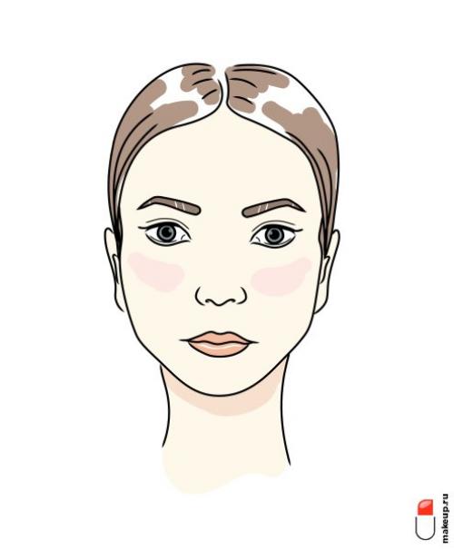 Как определить, что у вас круглое лицо. Классификация лиц по форме