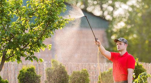 Биопрепараты для восстановления тканей пародонта. О лечении пародонтита методом направленной тканевой регенерации 03 Биопрепараты для восстановления тканей пародонта. О лечении пародонтита методом направленной тканевой регенерации 03