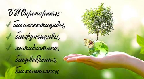 Биопрепараты для восстановления тканей пародонта. О лечении пародонтита методом направленной тканевой регенерации 02 Биопрепараты для восстановления тканей пародонта. О лечении пародонтита методом направленной тканевой регенерации 02