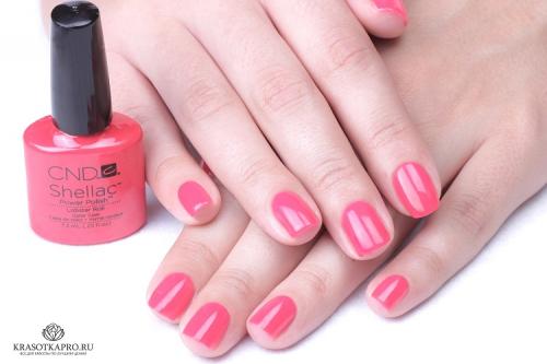 Какие инструменты необходимы для нанесения BlueSky shellac по палитре CND