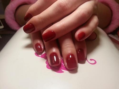 Что нужно для шеллака: советы и инструкции