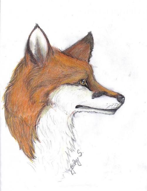 Милая мордочка лисы за 1 минуту. Как сшить такую милую лисичку 30 Милая мордочка лисы за 1 минуту. Как сшить такую милую лисичку 30