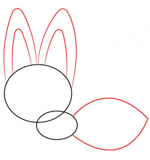 Как нарисовать лису для начинающих. Как нарисовать лису