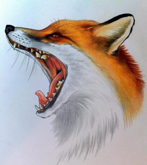 Милая мордочка лисы за 1 минуту. Как сшить такую милую лисичку 29 Милая мордочка лисы за 1 минуту. Как сшить такую милую лисичку 29