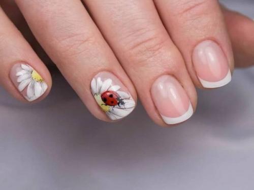 Як наносити гель лак на ромашку. Рисование гель-лаком