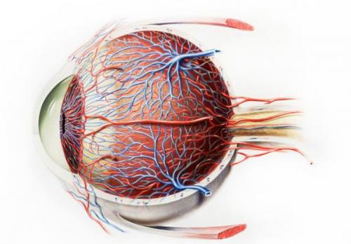 Узнайте о четырех типах отслоек и как избежать их 01