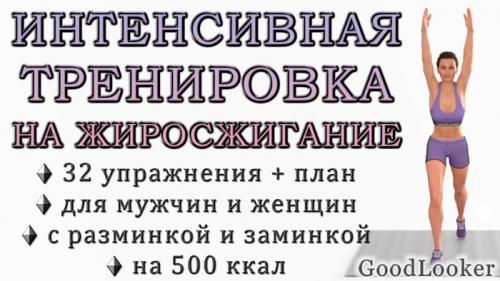 Какие дополнительные рекомендации можно применить для усиления эффективности тренировки на все тело без прыжков. Интенсивная тренировка на жиросжигание на 500 ккал для мужчин и женщин (без повторов упражнений)