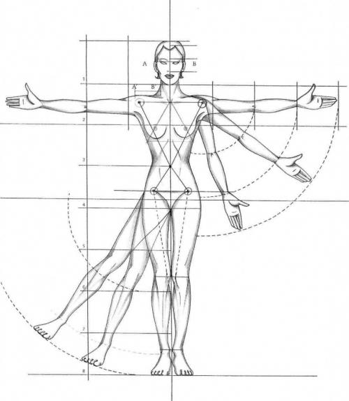 Какие части тела считаются основными составляющими идеальной женской фигуры. Вступление