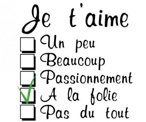 ТОП-5 способов быстро выучить французский язык 05 ТОП-5 способов быстро выучить французский язык 05