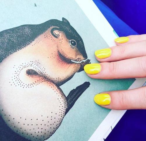 Матовый или глянцевый лак для ногтей. Какими бывают лаки для ногтей — 18 видов