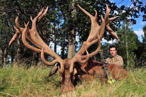 Возможно ли создать рога без каких-либо специальных навыков или опыта. Как получить огромные рога у оленя