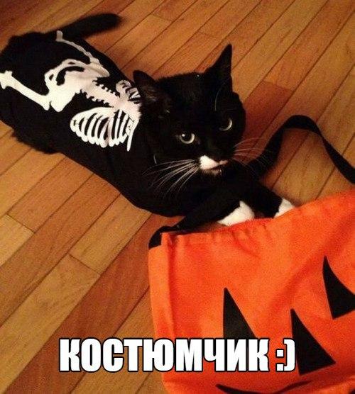 Таки - да, Одесса! 02 Таки - да, Одесса! 02