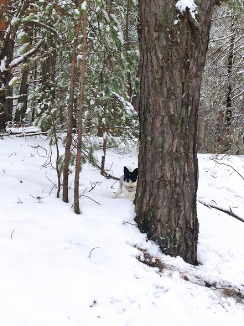 - Ну как у вас с погодой? 03