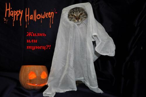 Таки - да, Одесса! 01 Таки - да, Одесса! 01