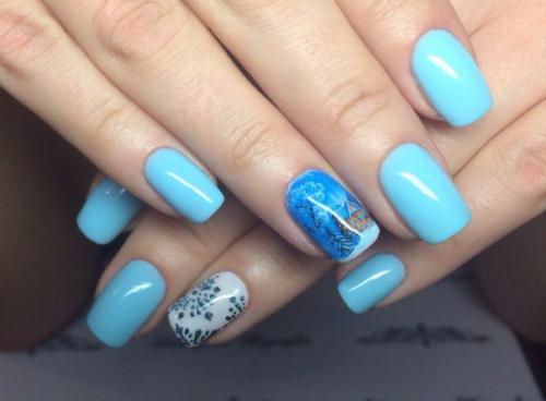 Почему пингвины не летают. 02