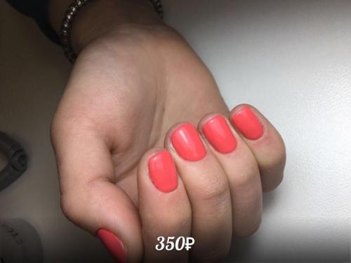 Модель на покрытие гель - лак и коррекцию бровей с окраской хной. 01