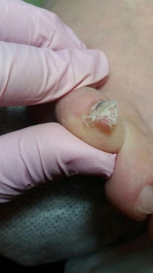 Админ пожалуйста выложите. 01