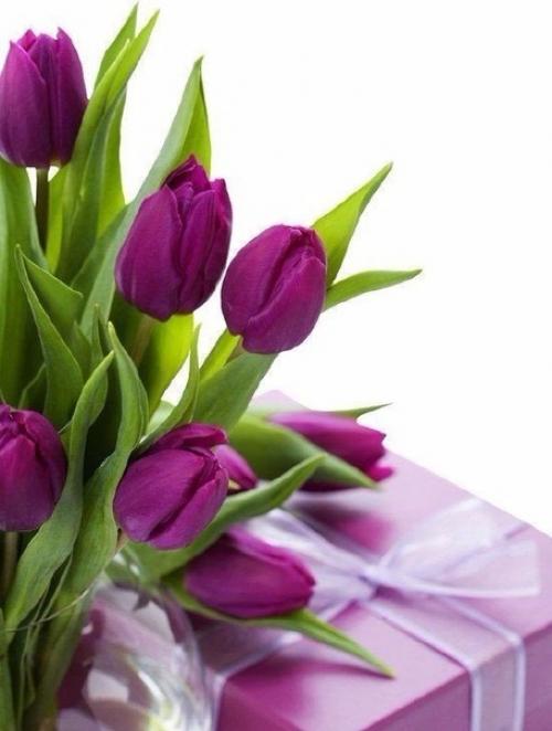 Красивой женщине - изысканный наряд улыбок нежных, счастья и успеха! 04