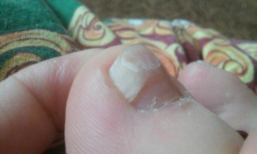 Диетические сладости для радости. 02 Диетические сладости для радости. 02