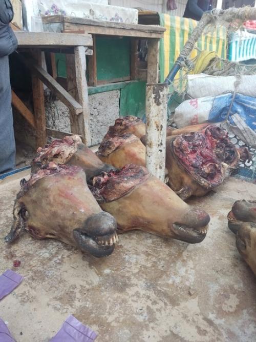 - знаешь, мне нравится ошский рынок в Бишкеке. 08 - знаешь, мне нравится ошский рынок в Бишкеке. 08