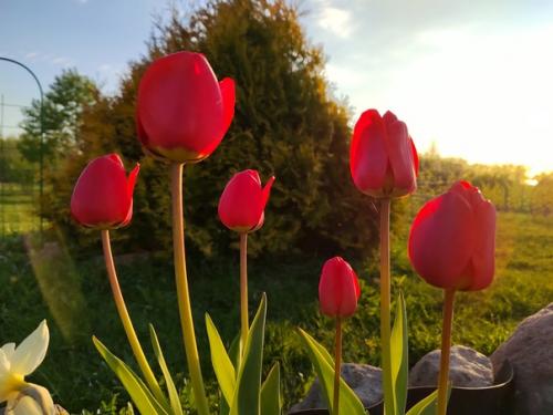 Неделю назад завершился отпуск. 01 Неделю назад завершился отпуск. 01