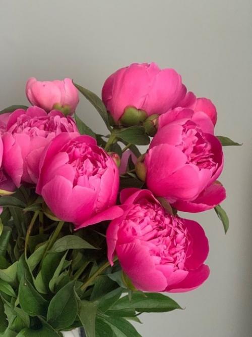 Цвет фуксия - это смелый выбор для маникюра! 03