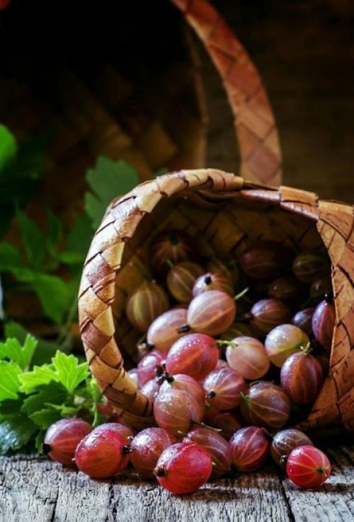 Ну, и кто из нас так делает. 01 Ну, и кто из нас так делает. 01