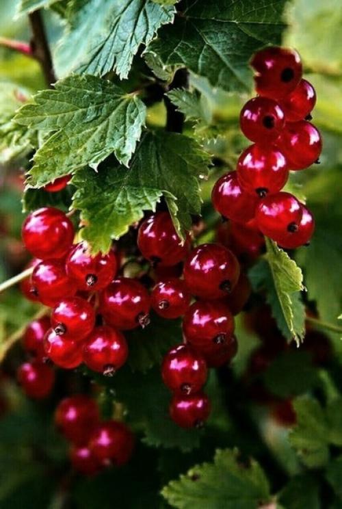 Ну, и кто из нас так делает. 03 Ну, и кто из нас так делает. 03