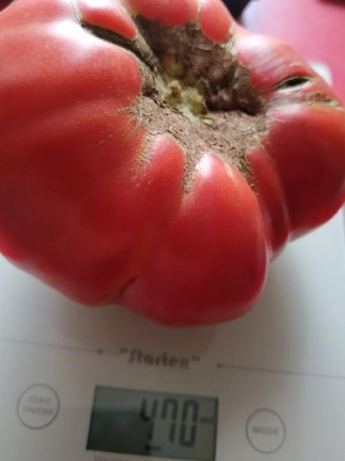 Искренне восхищаюсь девочками, которые всё успевают. 03