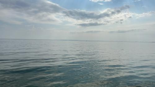 Я такая жадная … до лета! 03