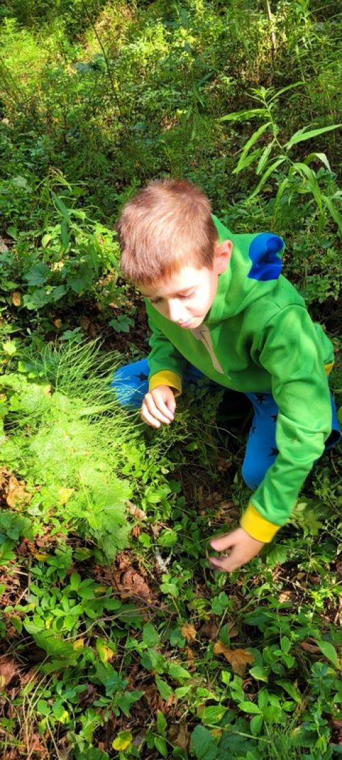 Как правильно есть ягоды: - чернику , внимание, только в лесу с куста, немытую и со свежим маникюром! 04