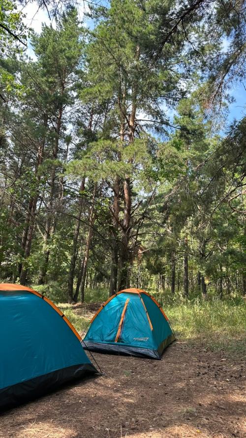 Я такая жадная … до лета! 02