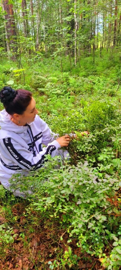 Как правильно есть ягоды: - чернику , внимание, только в лесу с куста, немытую и со свежим маникюром! 05