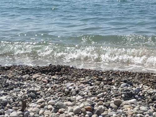 Удивительная Абхазия.  Гудаута. 04