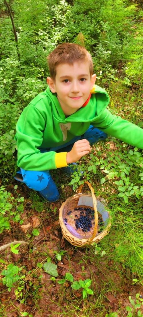 Как правильно есть ягоды: - чернику , внимание, только в лесу с куста, немытую и со свежим маникюром! 06