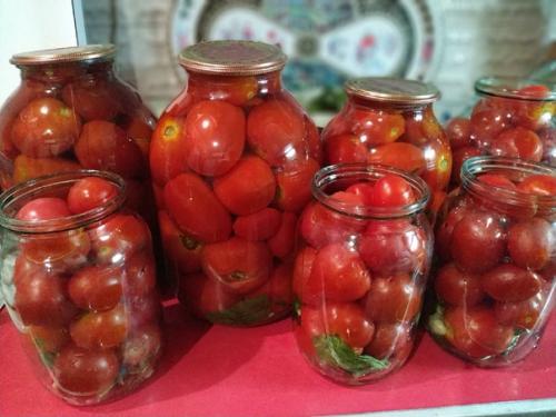 Искренне восхищаюсь девочками, которые всё успевают. 01