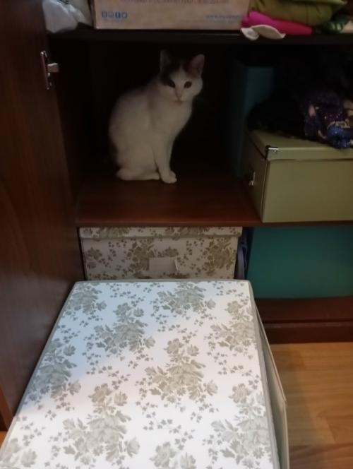 Понадобилось мне тут недавно найти мамин старый воротничок. 01