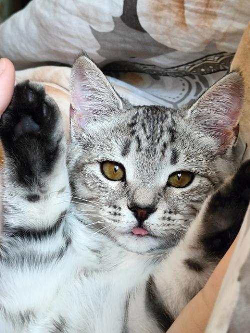 1. меня зовут Алёна, мне 22. 08