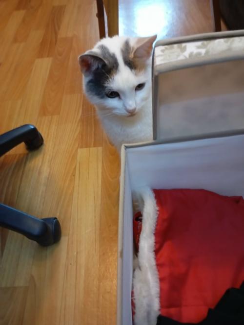 Понадобилось мне тут недавно найти мамин старый воротничок. 04