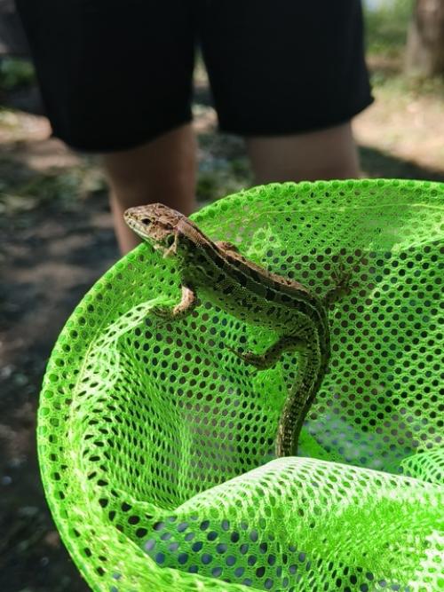 1. меня зовут Алёна, мне 22. 06